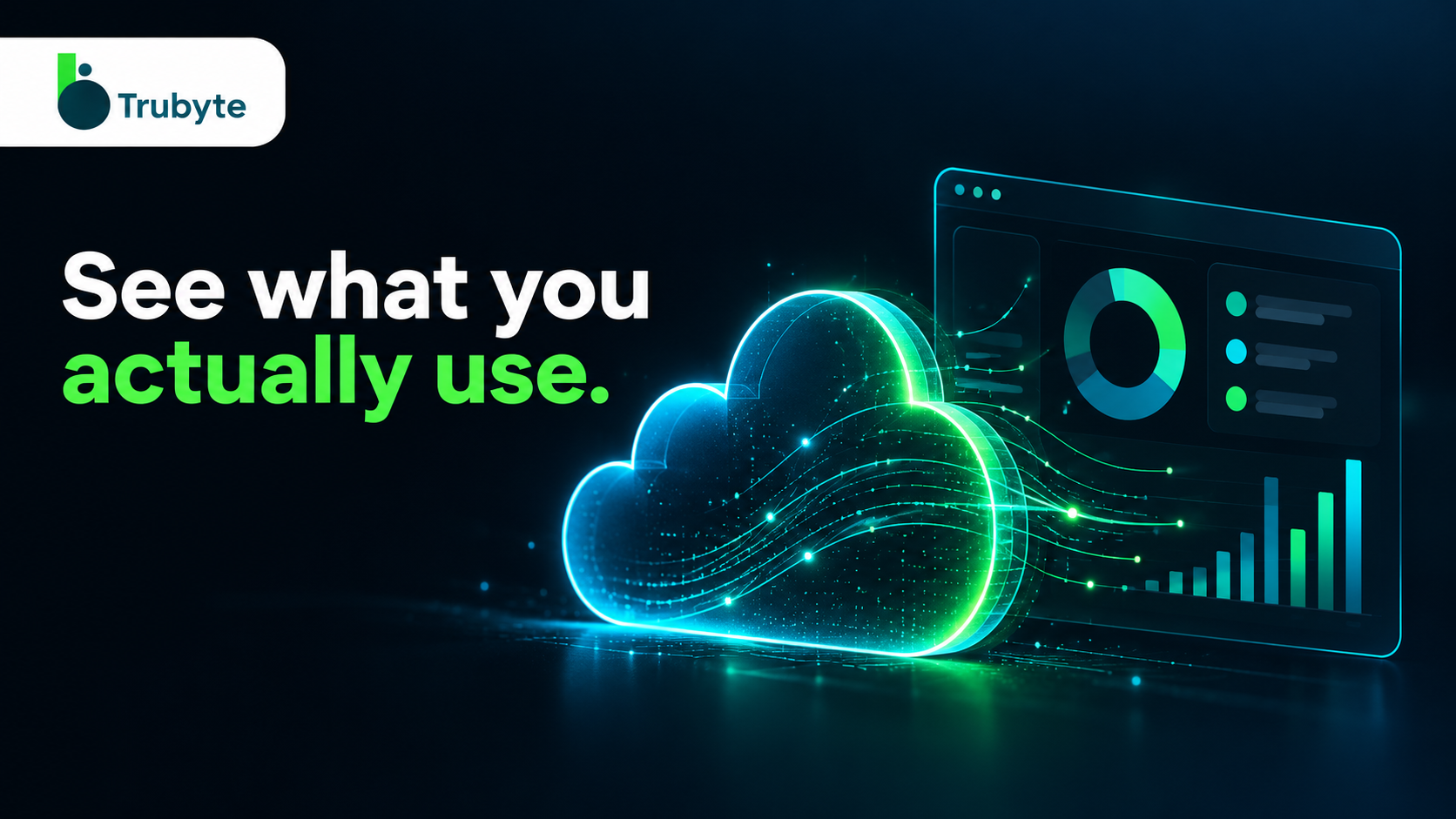 See what you actually use. Trubyte supporting illustration of cloud beside a simple expense dashboard.